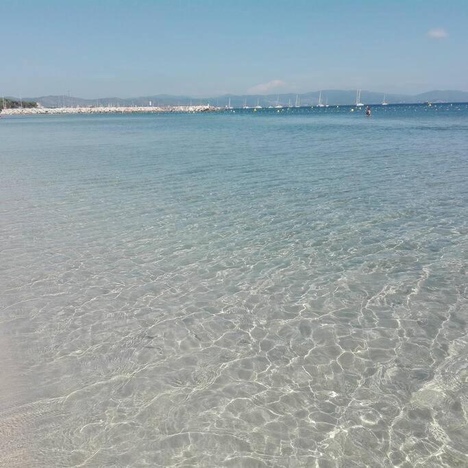 Port Et Iles D'or. * Hyères